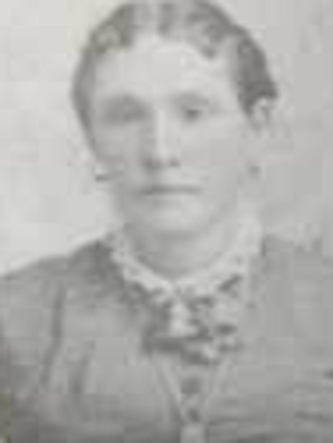 Emeline Phoebe Curtis (1844 - 1905) Profile